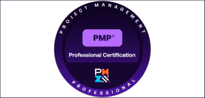 PMI (Project Management Institute)