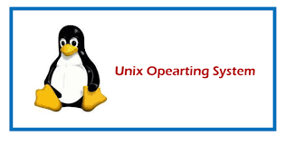 Basic Unix Commands Everyone Must Know | NovelVista Learning Solutions